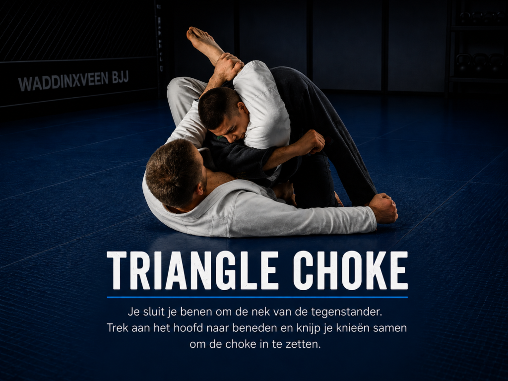 Brazilian Jiu – Jitsu